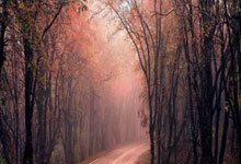 安赛龙发文，将暂别赛场！.