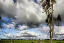 安赛龙发文，将暂别赛场！.