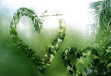 安赛龙发文,将暂别赛场!.